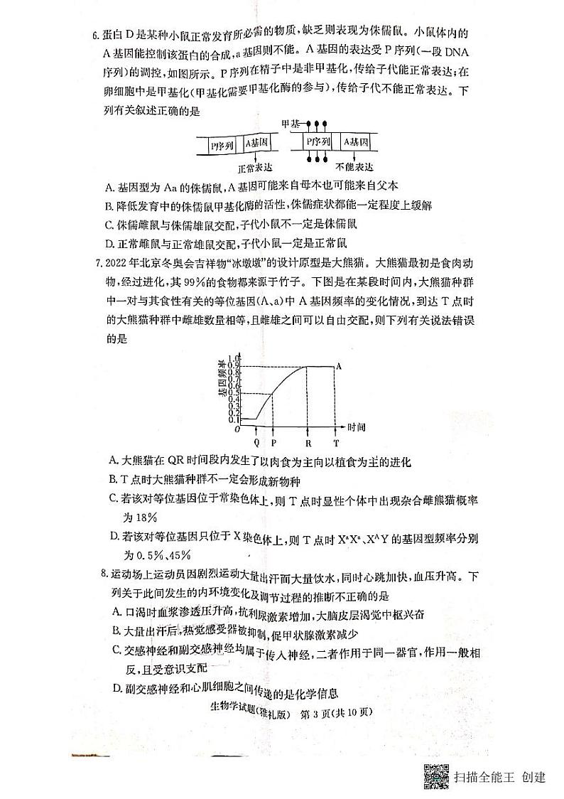 湖南省长沙市雅礼中学2022-2023学年高三下学期月考卷（六）生物试题03