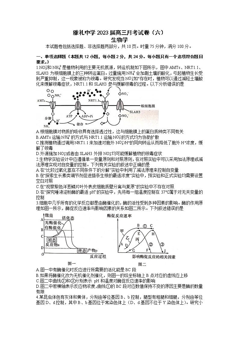 湖南省长沙市雅礼中学2022-2023学年高三下学期月考卷（六）生物试题01