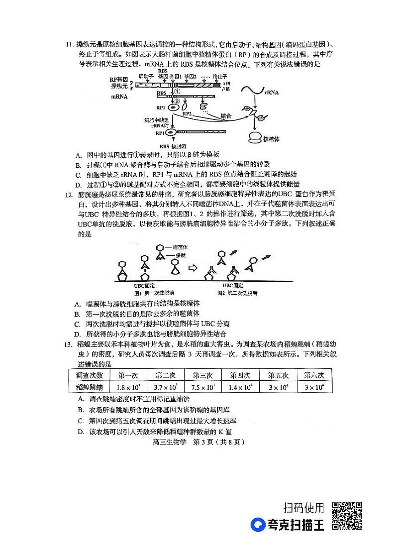 2023龙岩高三下学期3月教学质量检测试题生物PDF版无答案03