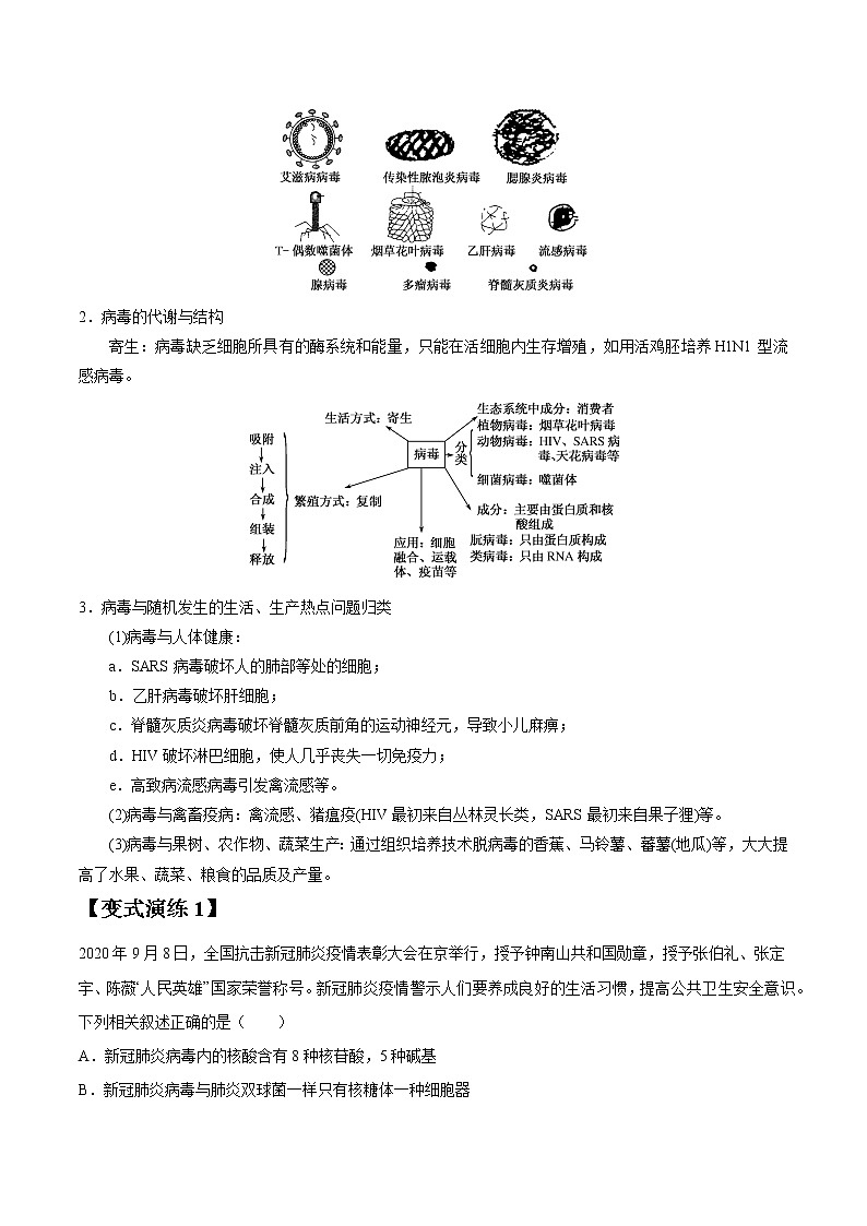 专题01 走近细胞-高三毕业班生物常考点归纳与变式演练（解析版）第3页