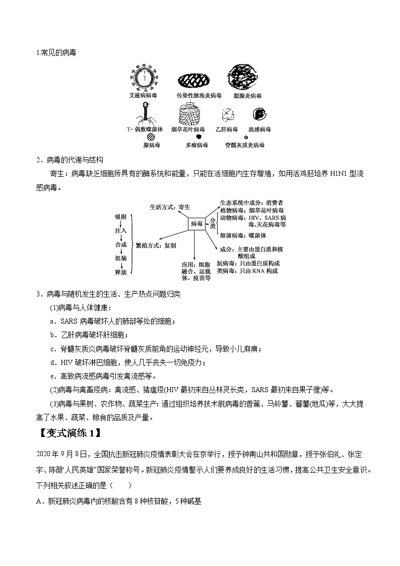 专题01 走近细胞-高三毕业班生物常考点归纳与变式演练（原卷版）第2页