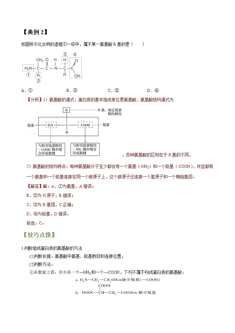 专题03 生命活动的主要承担者——蛋白质-高三毕业班生物常考点归纳与变式演练（解析版）第2页