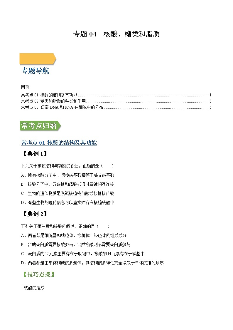 专题04 核酸、糖类和脂质-高三毕业班生物常考点归纳与变式演练（原卷版）第1页