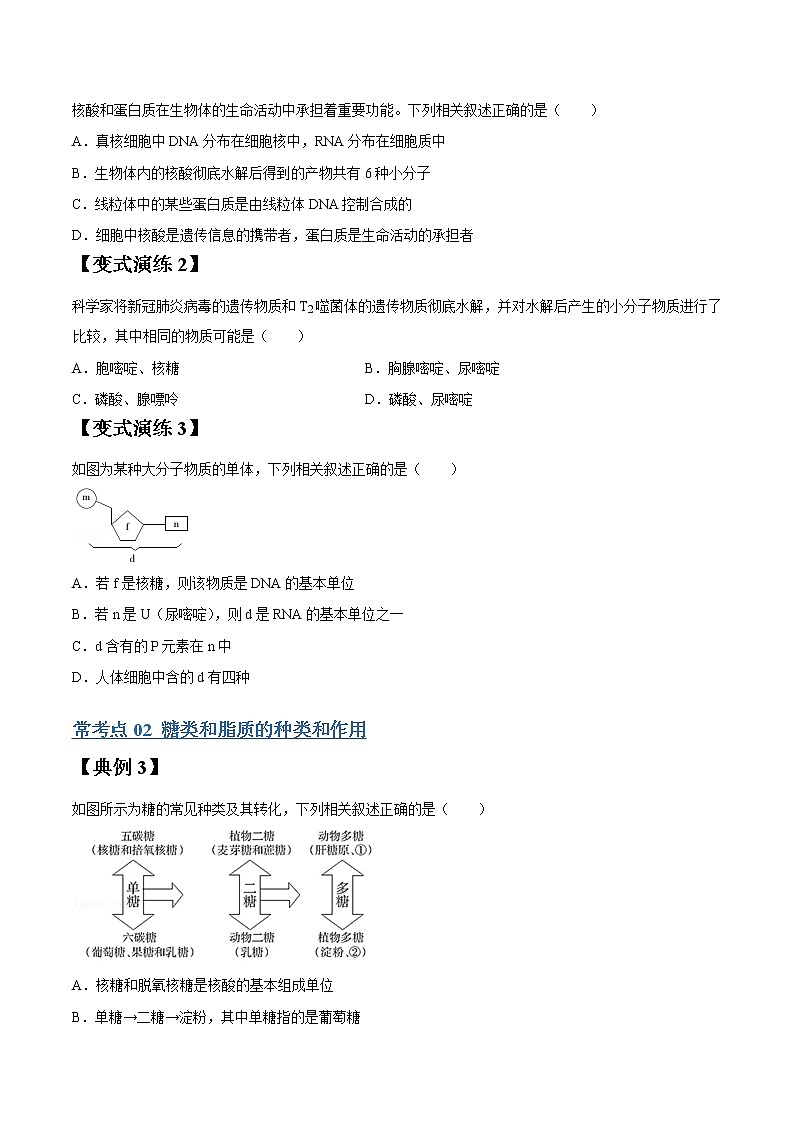 专题04 核酸、糖类和脂质-高三毕业班生物常考点归纳与变式演练（原卷版）第3页