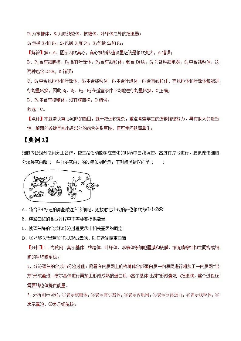 专题06 细胞器-高三毕业班生物常考点归纳与变式演练（解析版）第2页