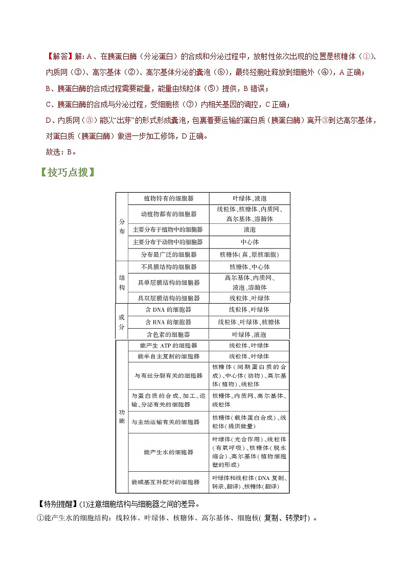 专题06 细胞器-高三毕业班生物常考点归纳与变式演练（解析版）第3页