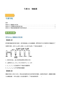 专题06 细胞器-高三毕业班生物常考点归纳与变式演练