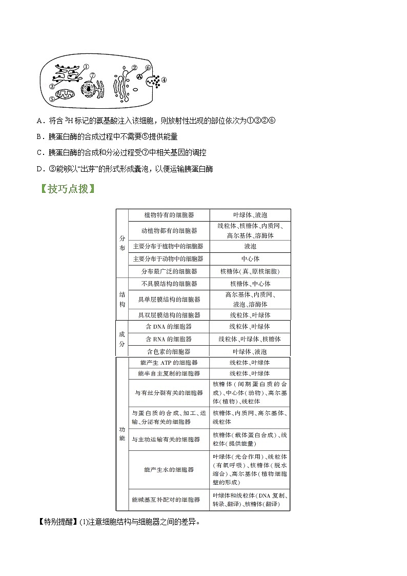 专题06 细胞器-高三毕业班生物常考点归纳与变式演练（原卷版）第2页