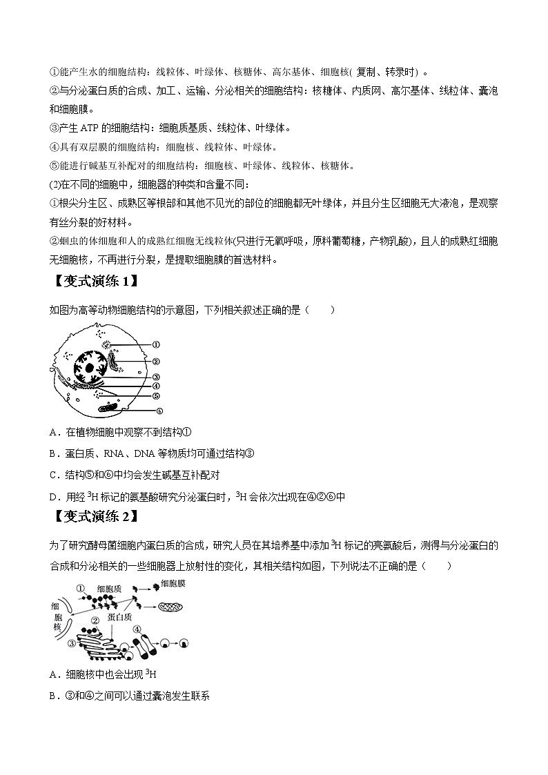 专题06 细胞器-高三毕业班生物常考点归纳与变式演练（原卷版）第3页