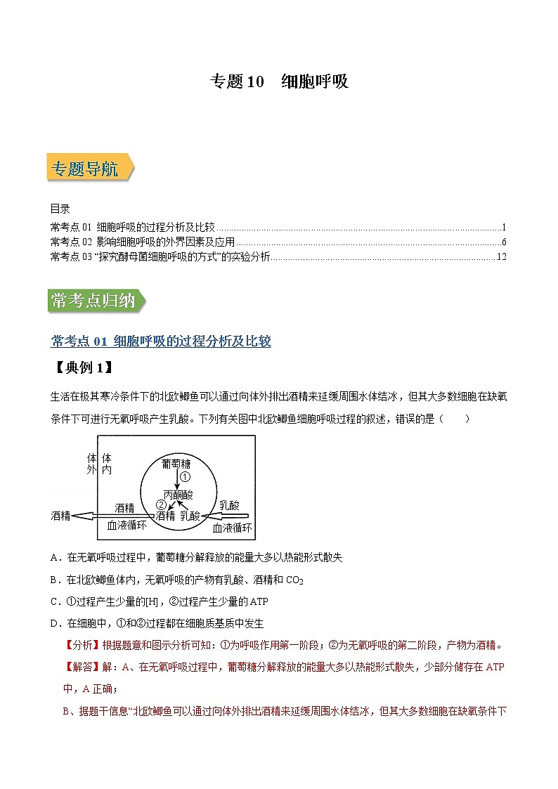 专题10 细胞呼吸-高三毕业班生物常考点归纳与变式演练（解析版）第1页