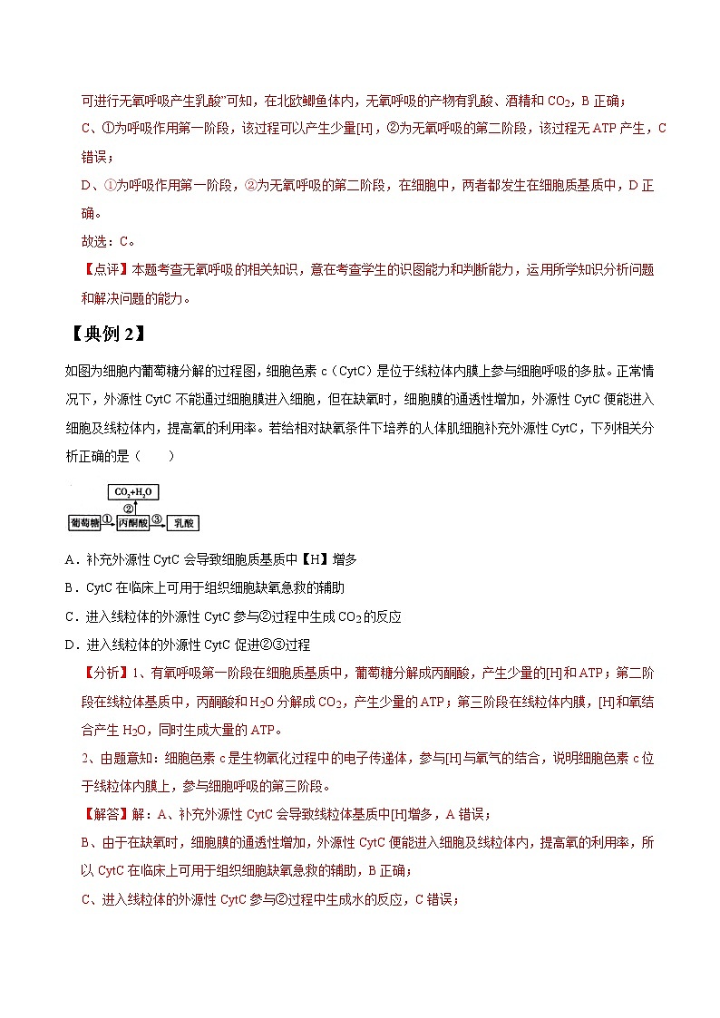 专题10 细胞呼吸-高三毕业班生物常考点归纳与变式演练（解析版）第2页