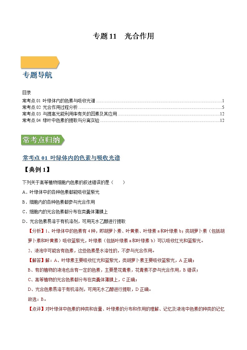 专题11 光合作用-高三毕业班生物常考点归纳与变式演练（解析版）第1页