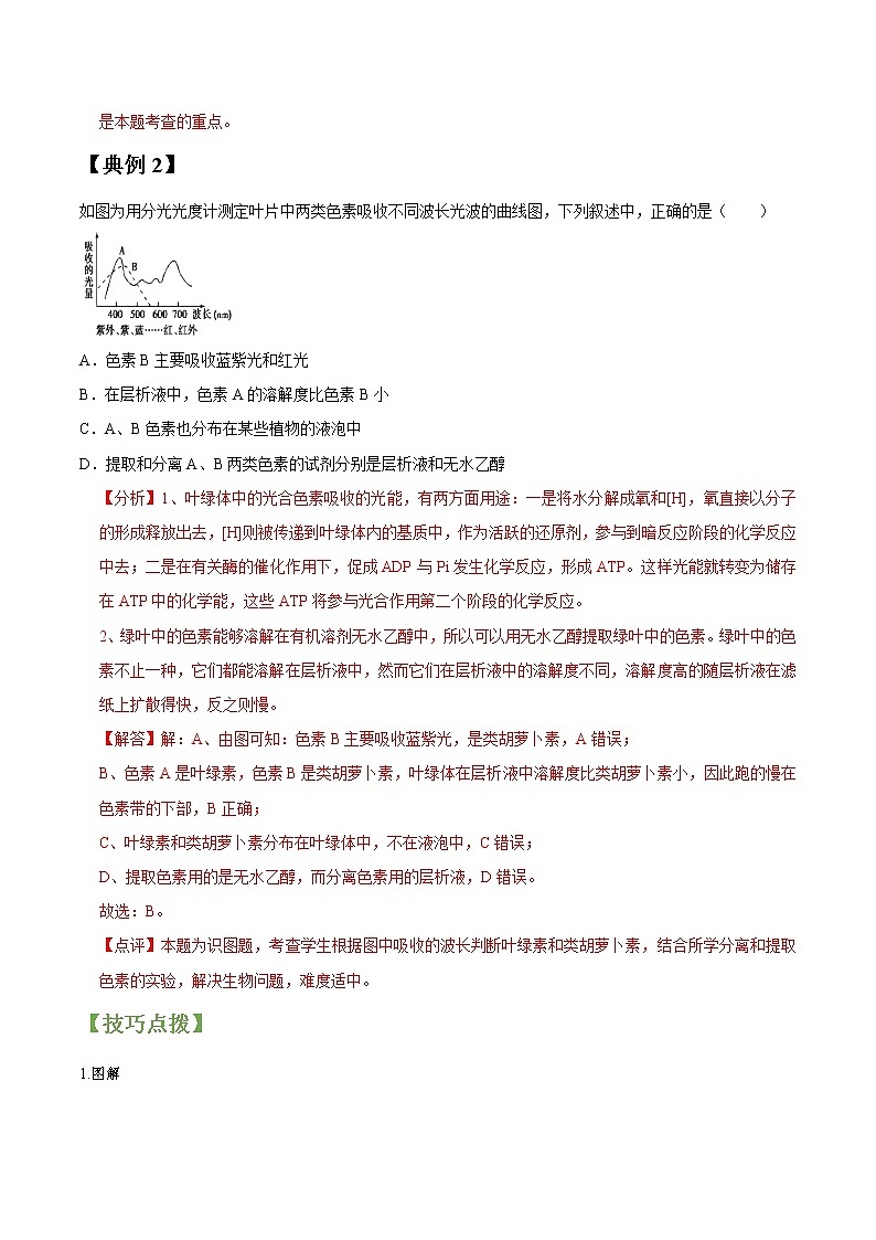 专题11 光合作用-高三毕业班生物常考点归纳与变式演练（解析版）第2页