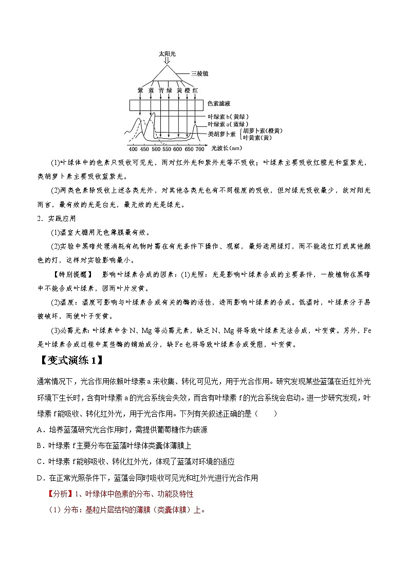 专题11 光合作用-高三毕业班生物常考点归纳与变式演练（解析版）第3页