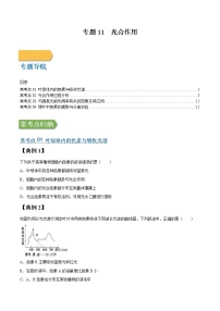 专题11 光合作用-高三毕业班生物常考点归纳与变式演练