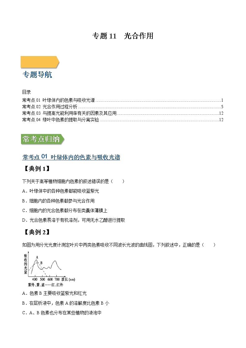专题11 光合作用-高三毕业班生物常考点归纳与变式演练（原卷版）第1页