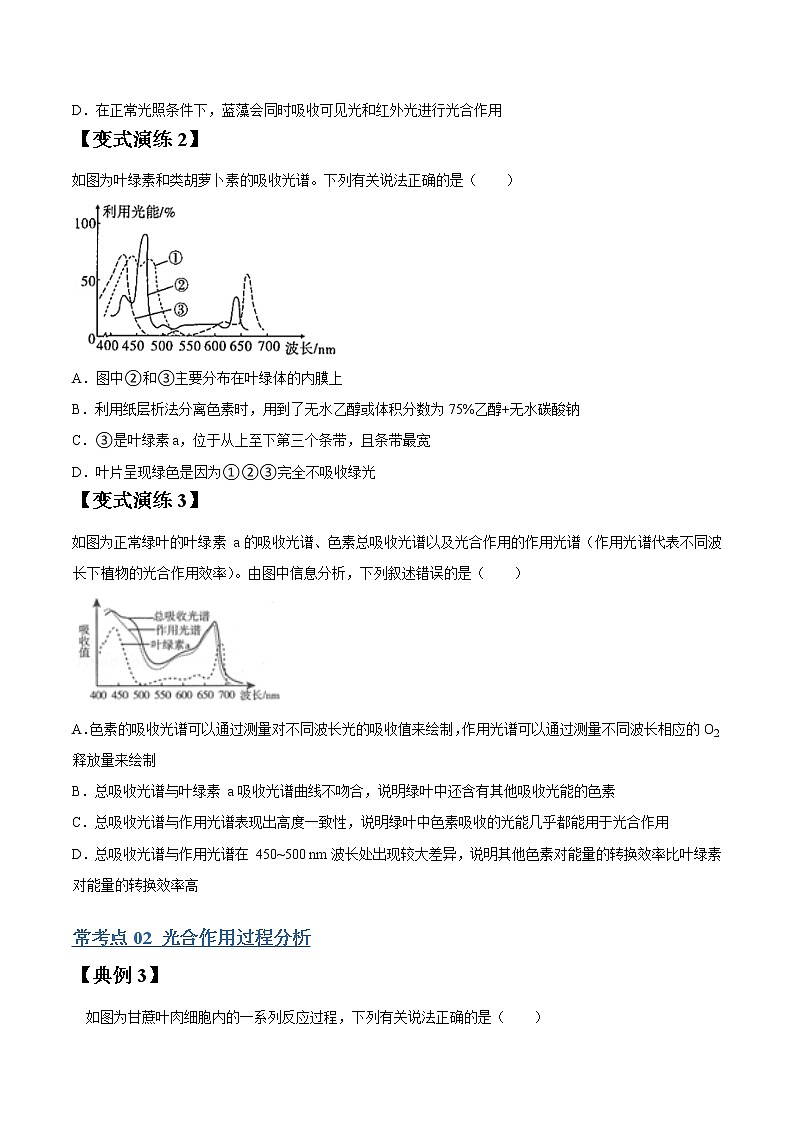 专题11 光合作用-高三毕业班生物常考点归纳与变式演练（原卷版）第3页