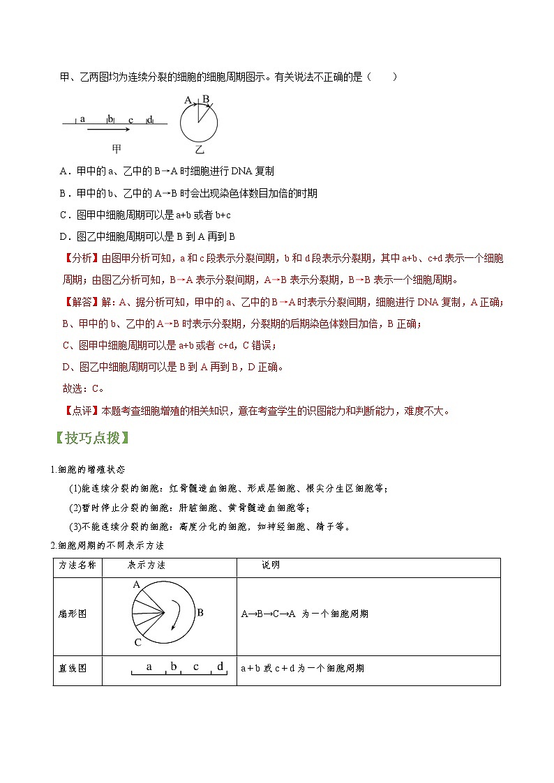 专题12 细胞的增殖-高三毕业班生物常考点归纳与变式演练（解析版）第2页