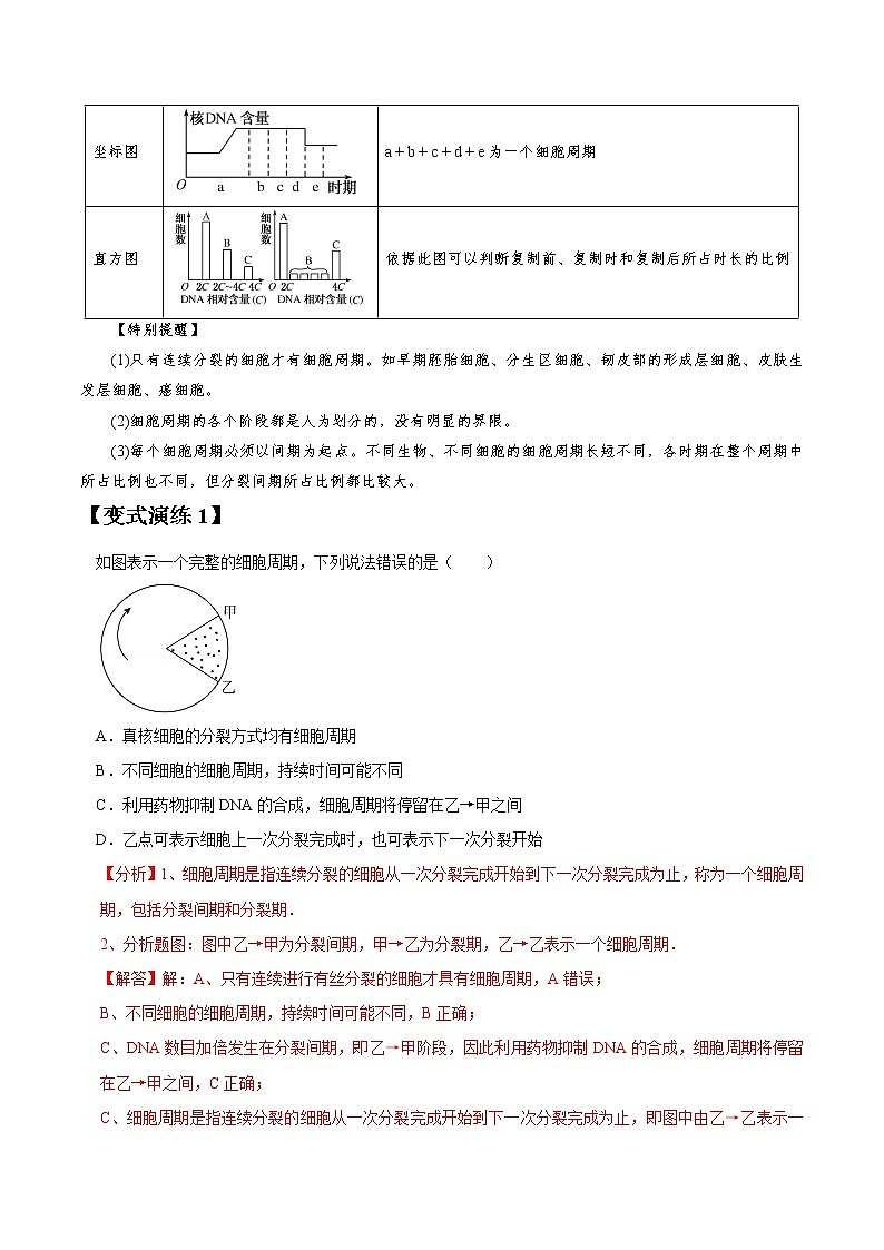 专题12 细胞的增殖-高三毕业班生物常考点归纳与变式演练（解析版）第3页