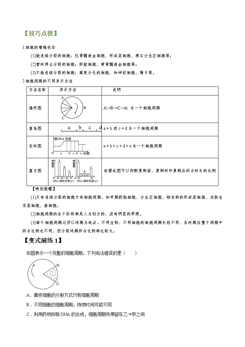 专题12 细胞的增殖-高三毕业班生物常考点归纳与变式演练（原卷版）第2页