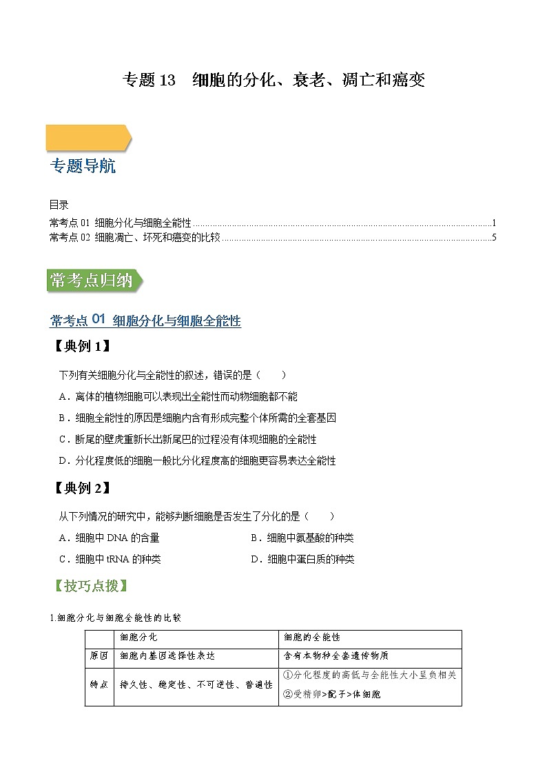 专题13 细胞的分化、衰老、凋亡和癌变-高三毕业班生物常考点归纳与变式演练（原卷版）第1页