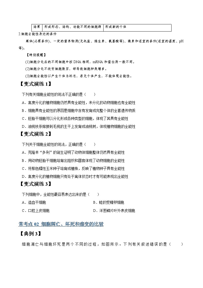 专题13 细胞的分化、衰老、凋亡和癌变-高三毕业班生物常考点归纳与变式演练（原卷版）第2页