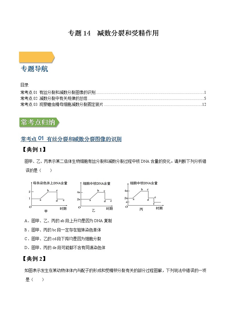 专题14 减数分裂和受精作用-高三毕业班生物常考点归纳与变式演练（原卷版）第1页