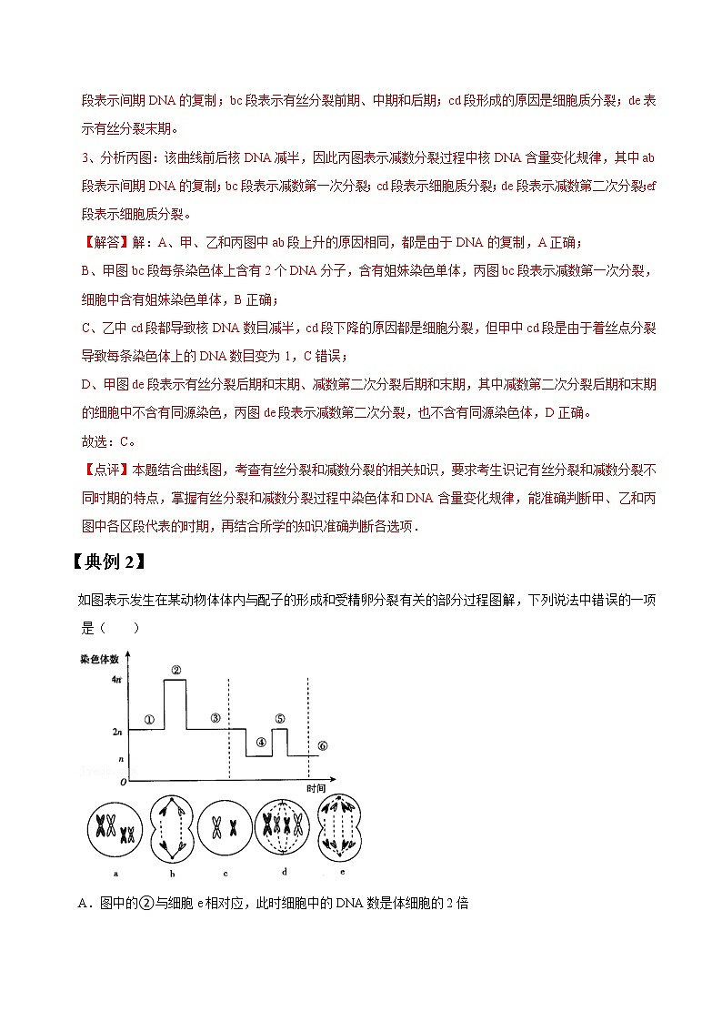 专题14 减数分裂和受精作用-高三毕业班生物常考点归纳与变式演练（解析版）第2页
