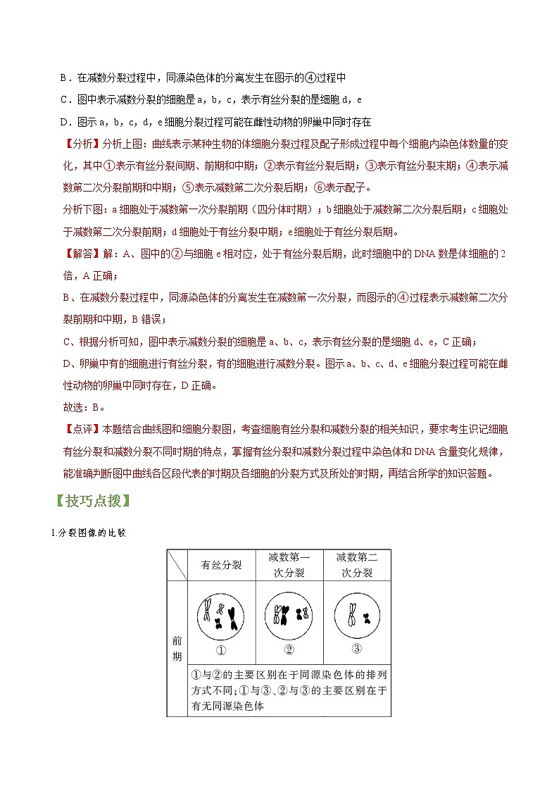 专题14 减数分裂和受精作用-高三毕业班生物常考点归纳与变式演练（解析版）第3页