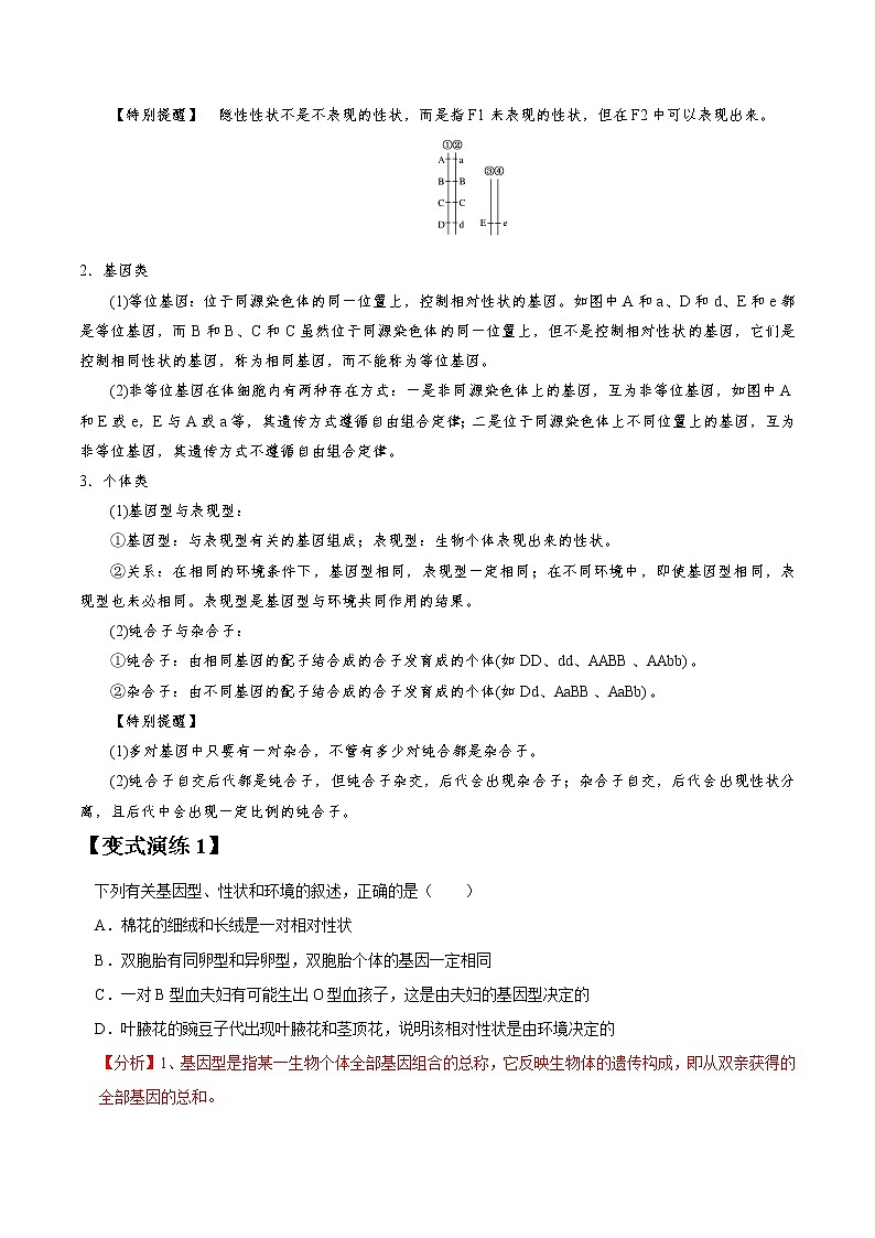 专题15 孟德尔豌豆杂交实验一-高三毕业班生物常考点归纳与变式演练（解析版）第3页