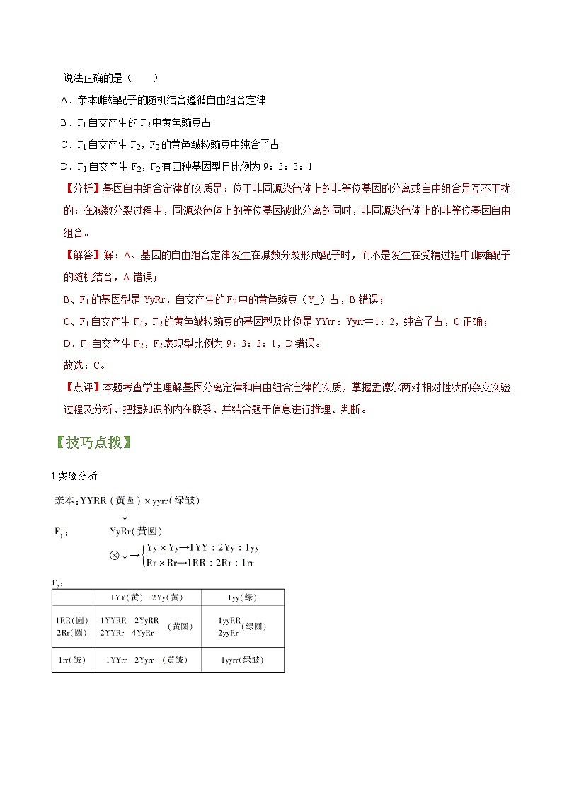 专题16 孟德尔豌豆杂交实验二-高三毕业班生物常考点归纳与变式演练（解析版）第2页