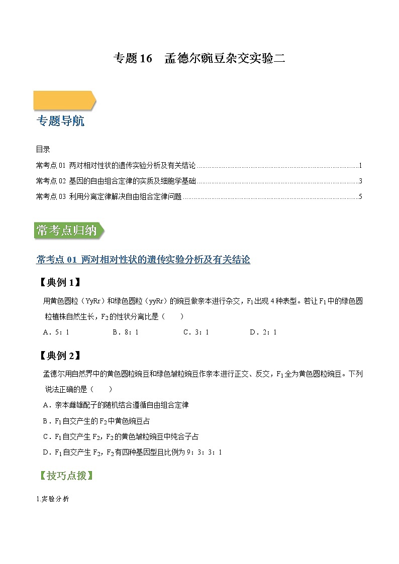 专题16 孟德尔豌豆杂交实验二-高三毕业班生物常考点归纳与变式演练（原卷版）第1页