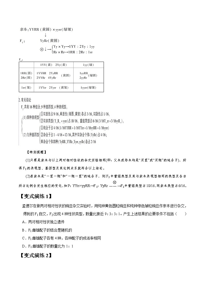 专题16 孟德尔豌豆杂交实验二-高三毕业班生物常考点归纳与变式演练（原卷版）第2页