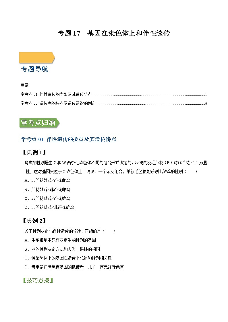 专题17 基因在染色体上和伴性遗传-高三毕业班生物常考点归纳与变式演练（原卷版）第1页