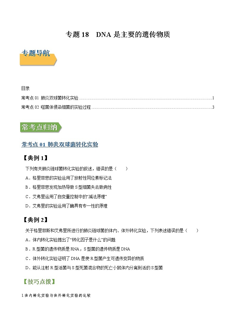 专题18 DNA是主要的遗传物质-高三毕业班生物常考点归纳与变式演练（原卷版）第1页