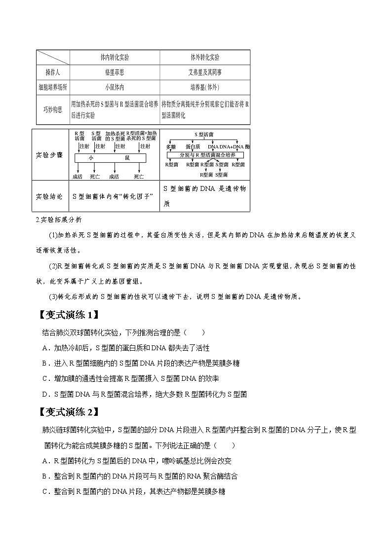 专题18 DNA是主要的遗传物质-高三毕业班生物常考点归纳与变式演练（原卷版）第2页