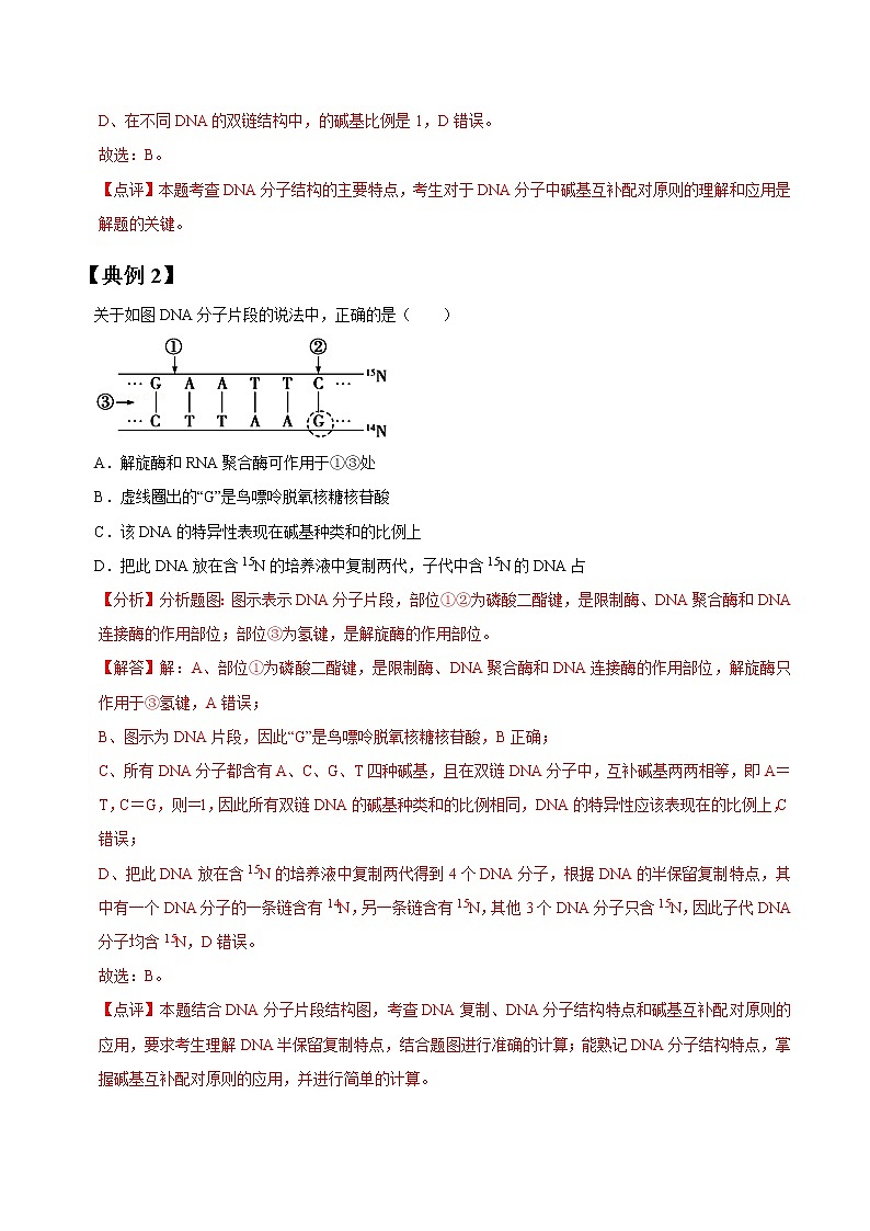 专题19 DNA分子结构和复制与基因本质-高三毕业班生物常考点归纳与变式演练（解析版）第2页