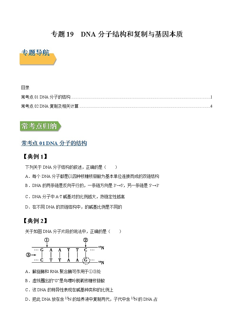 专题19 DNA分子结构和复制与基因本质-高三毕业班生物常考点归纳与变式演练（原卷版）第1页