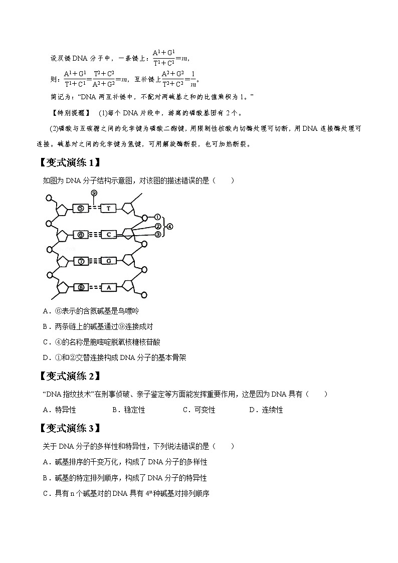 专题19 DNA分子结构和复制与基因本质-高三毕业班生物常考点归纳与变式演练（原卷版）第3页