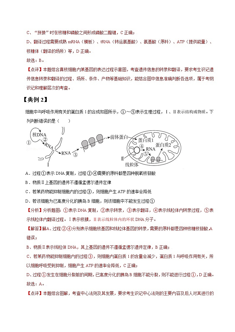 专题20 基因指导蛋白质合成与基因对性状控制-高三毕业班生物常考点归纳与变式演练（解析版）第2页