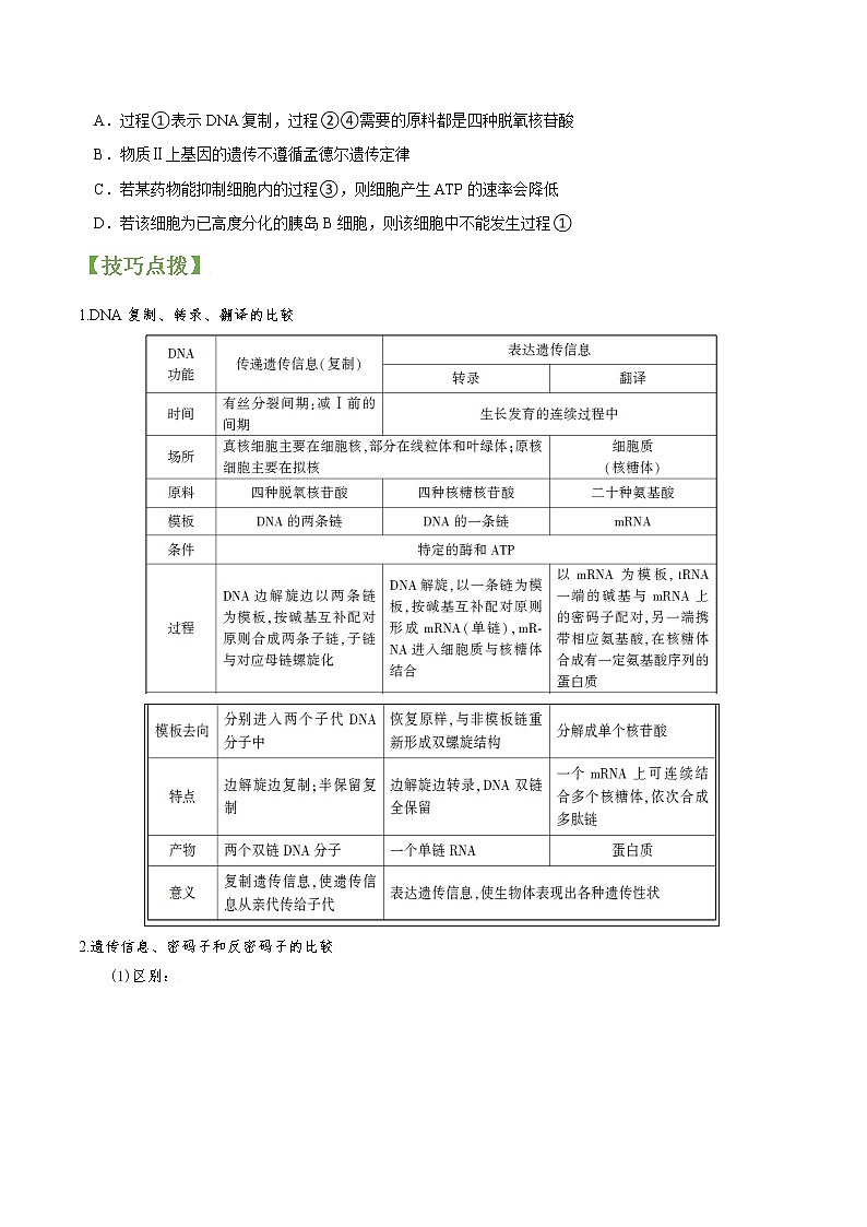 专题20 基因指导蛋白质合成与基因对性状控制-高三毕业班生物常考点归纳与变式演练（原卷版）第2页