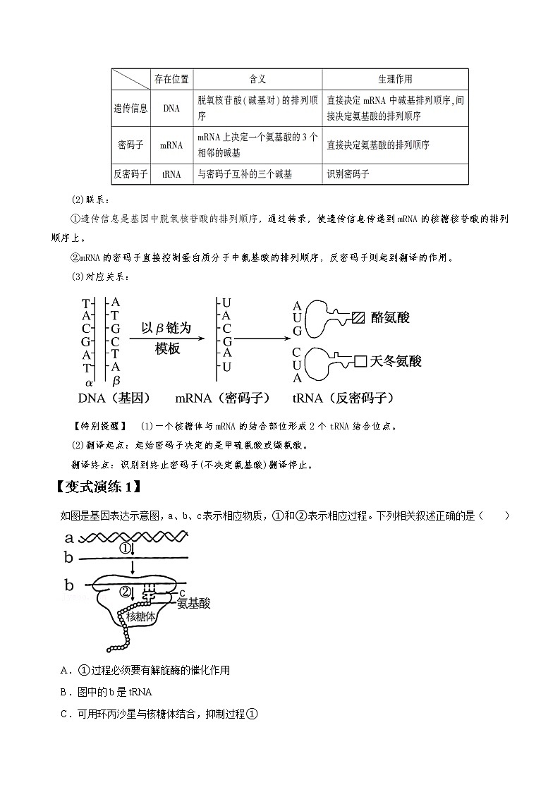 专题20 基因指导蛋白质合成与基因对性状控制-高三毕业班生物常考点归纳与变式演练（原卷版）第3页