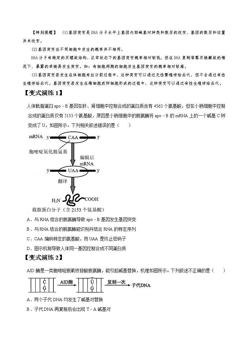 专题21 生物变异-高三毕业班生物常考点归纳与变式演练（原卷版）第3页