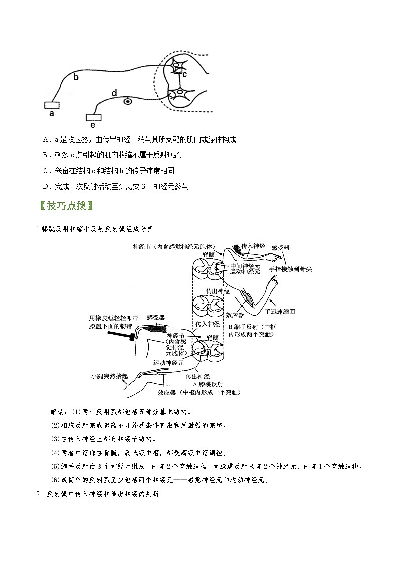 专题26 通过神经系统的调节-高三毕业班生物常考点归纳与变式演练（原卷版）第2页
