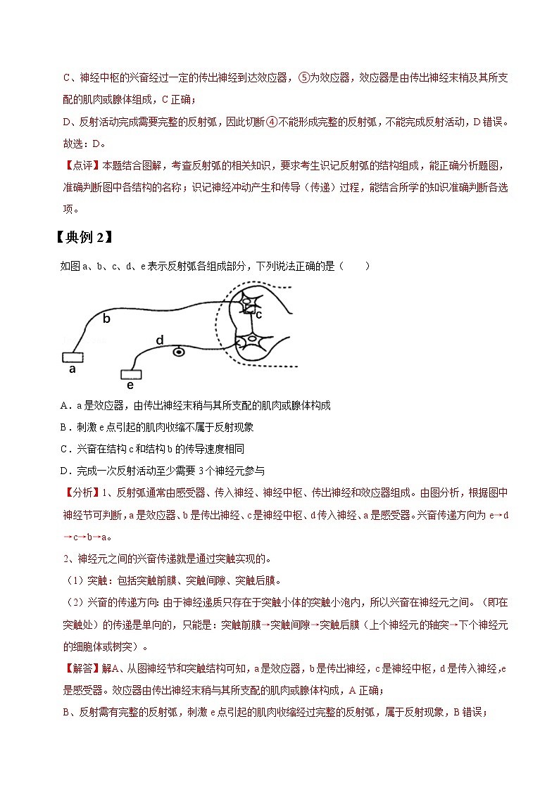 专题26 通过神经系统的调节-高三毕业班生物常考点归纳与变式演练（解析版）第2页