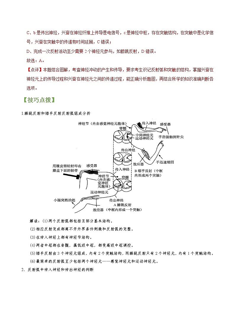 专题26 通过神经系统的调节-高三毕业班生物常考点归纳与变式演练（解析版）第3页