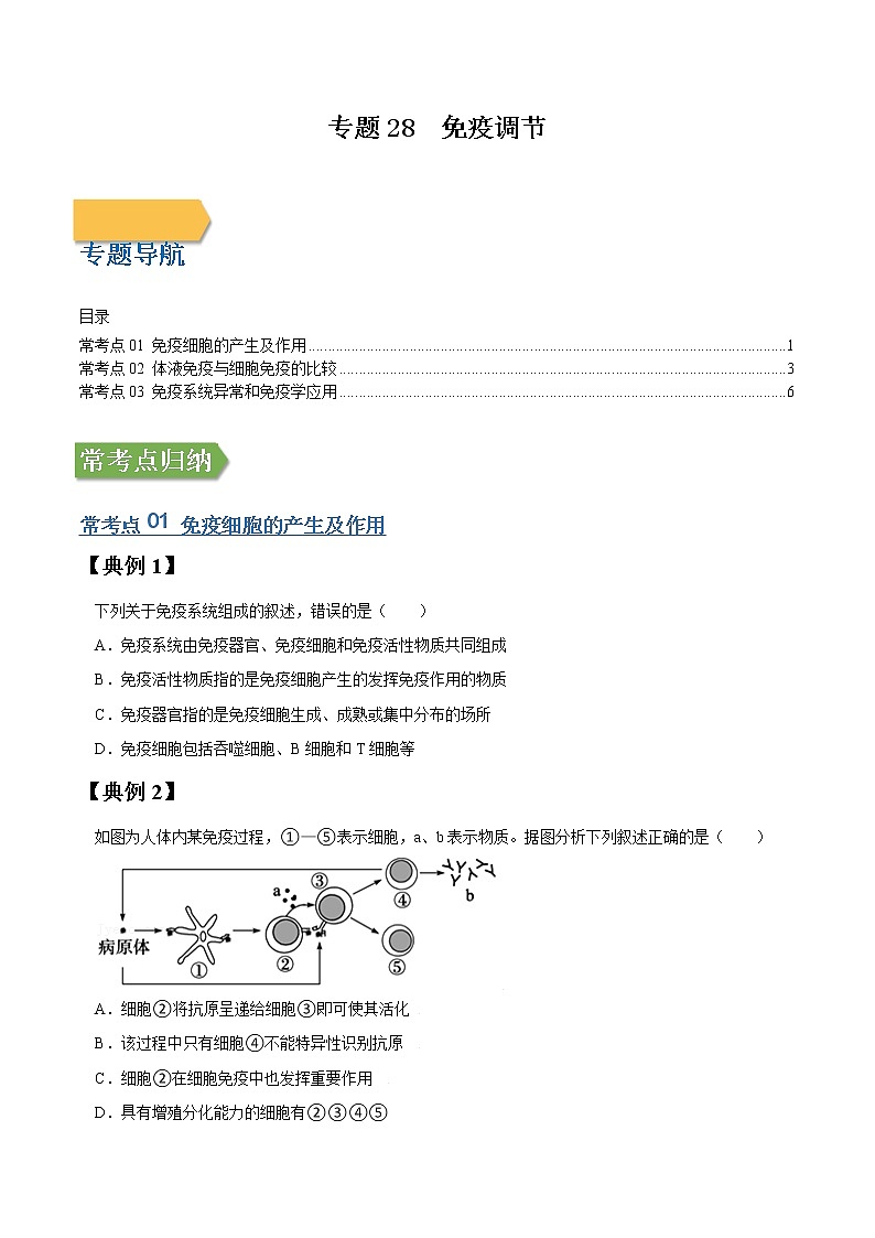 专题28 免疫调节-高三毕业班生物常考点归纳与变式演练（原卷版）第1页