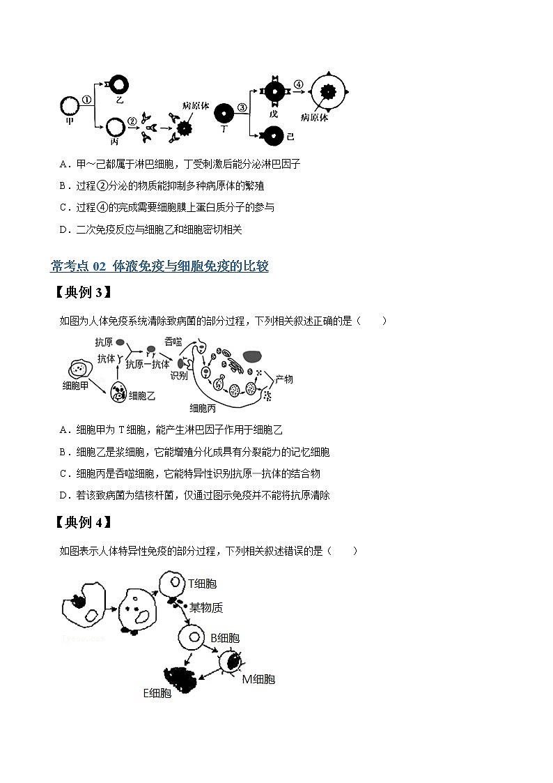 专题28 免疫调节-高三毕业班生物常考点归纳与变式演练（原卷版）第3页