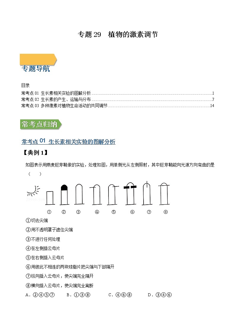 专题29 植物的激素调节-高三毕业班生物常考点归纳与变式演练（解析版）第1页