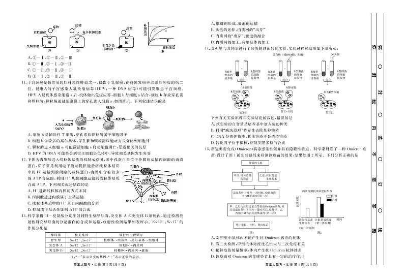 2023衡水金卷高三联考（新高考）  生物试题  PDF版无答案第2页